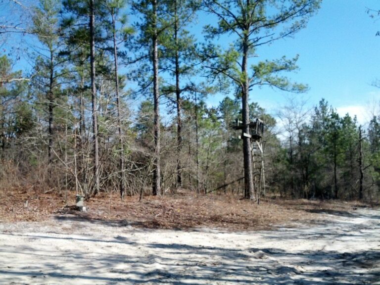 Elevated deer stand at a field edge