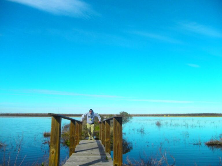 Footbridge leading to a duck blind on a refuge