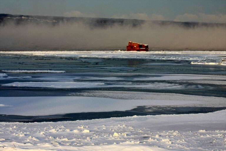 Duck blind on a frozen shoreline