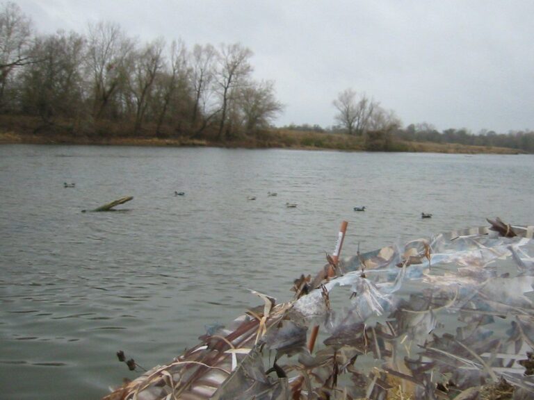 Duck decoys floating on a river