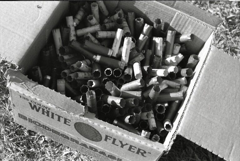 Box full of empty shotgun shells after a round of clays