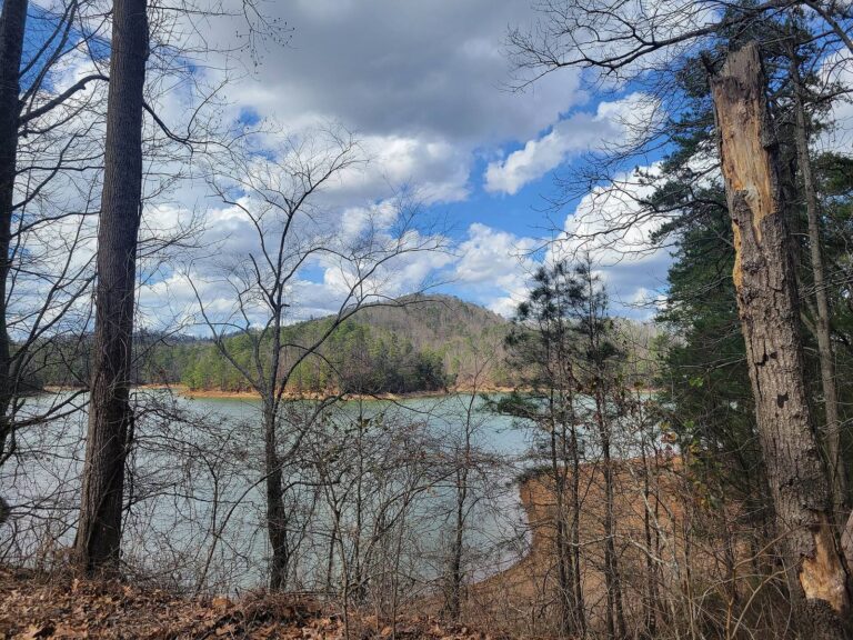 Allatoona Lake seen through the trees from the Allatoona Pass trail