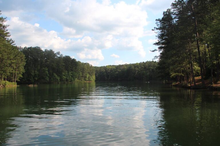 Wooded cove on Allatoona Lake seen from Red Top Mountain