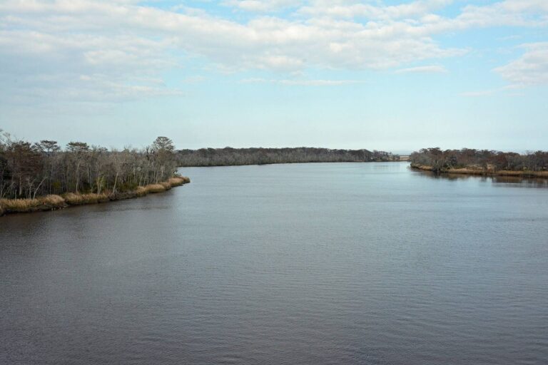The broad Altamaha River flowing toward the coast between Glynn and McIntosh counties