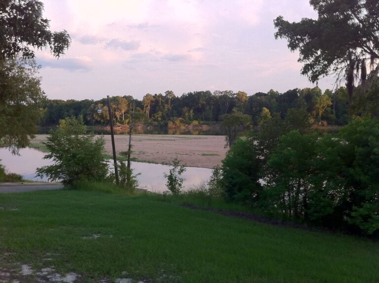 Sandbar and wooded bank along the river near Bullard Creek WMA at dusk