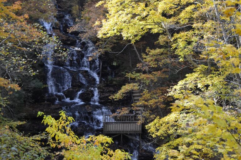 Waterfall framed by yellow autumn leaves in the Chattahoochee National Forest
