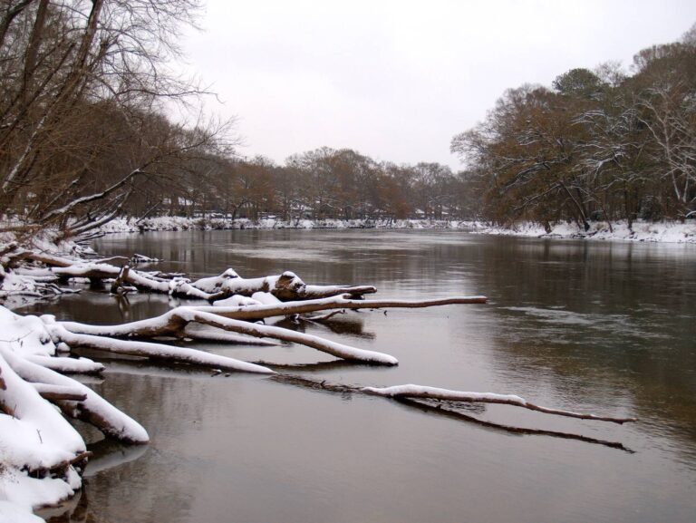 Snow on fallen logs along the upper Chattahoochee River in winter