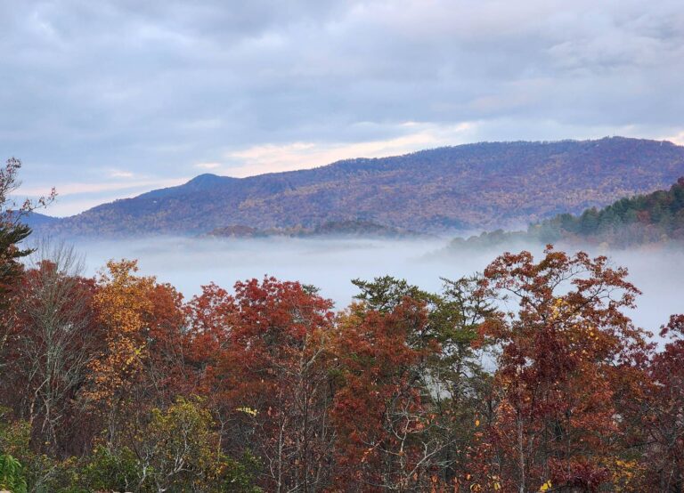 Morning fog in the valleys below autumn ridges in the Chattooga River Ranger District