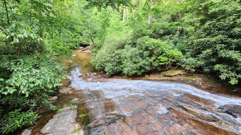 Mountain creek sliding over bedrock through rhododendron near the Chestatee WMA