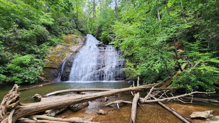 Waterfall dropping into a log-strewn pool in the mountains near the Chestatee WMA