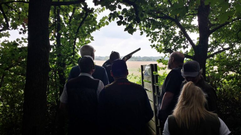 Shooters at a wooded sporting clays stand looking out over a field