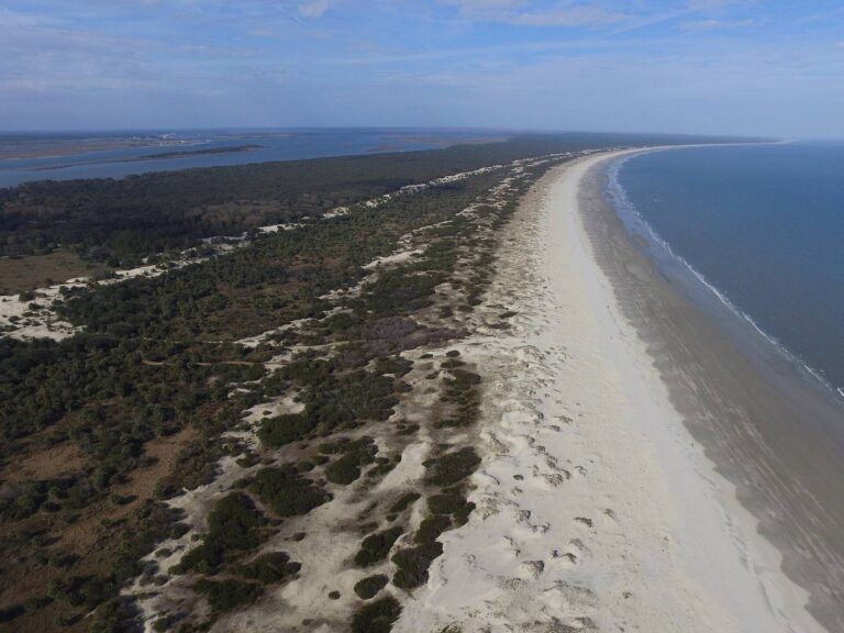 Long undeveloped beach and dunes on Cumberland Island National Seashore seen from above