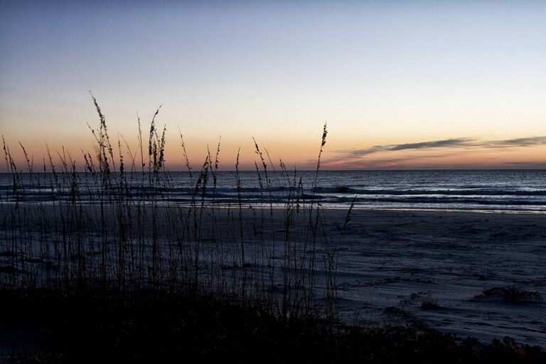 Sea oats and the Atlantic at first light on the Cumberland Island beach