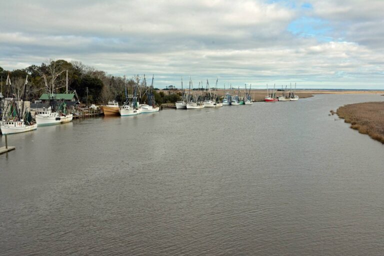 Shrimp boats moored along the Darien River at the edge of the Altamaha delta marshes