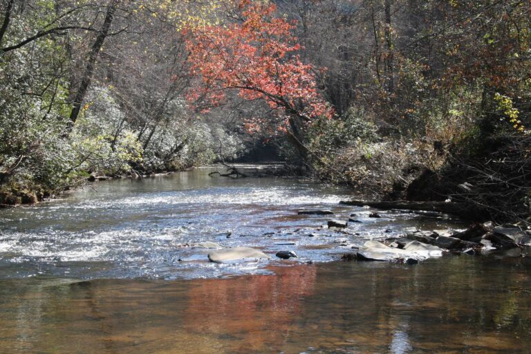 Shoal Creek running through autumn woods near the Etowah River in the Dawson Forest WMA