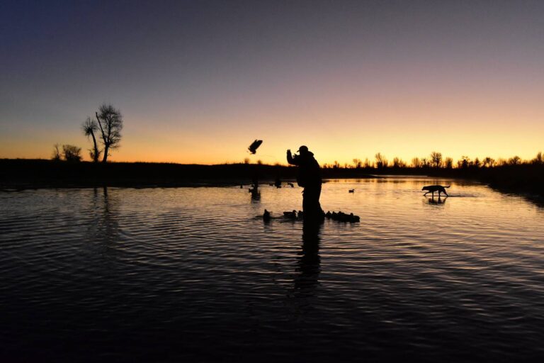 Duck hunter silhouetted against a sunset over marsh water and decoys