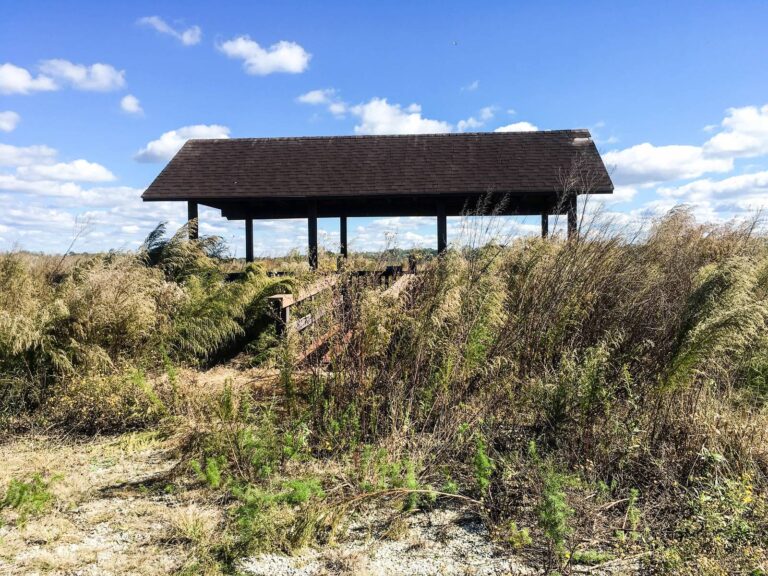 Old field shelter among dry grasses under a blue sky at Eufaula National Wildlife Refuge