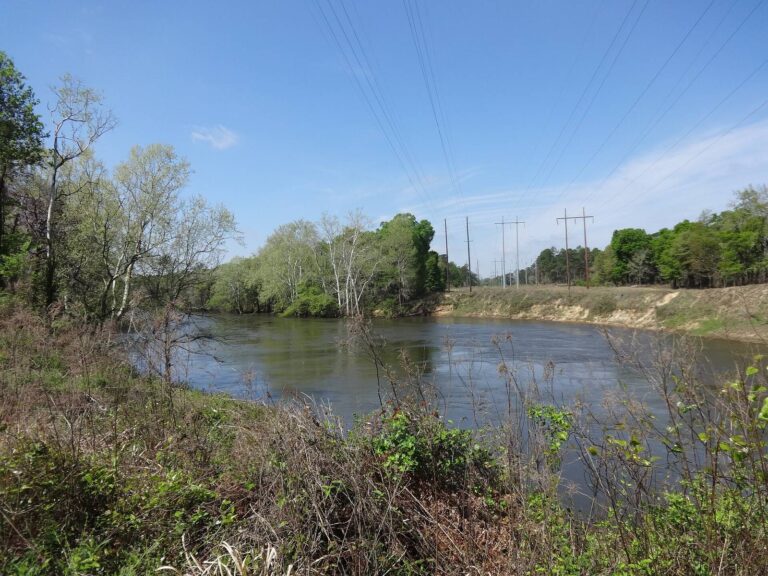 The Flint River flowing south between spring-green banks in Dougherty County