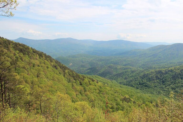 Spring green ridges stretching away from Cool Springs Overlook on Fort Mountain