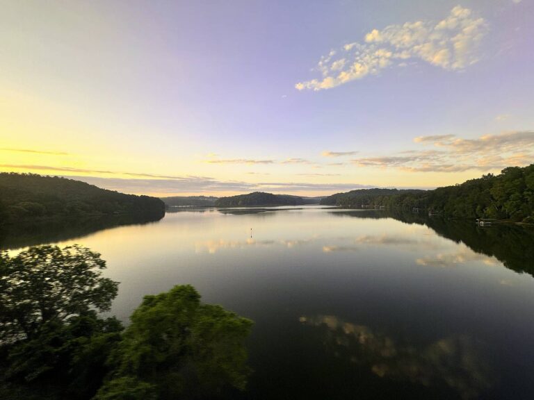 Calm dawn water and wooded points on Hartwell Lake on the Georgia and South Carolina line