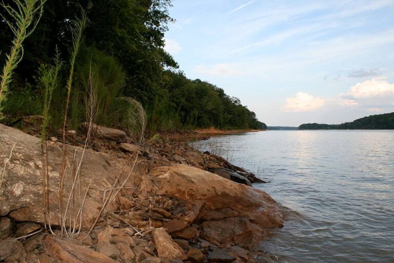 Rocky shore along the Tugaloo River arm of Hartwell Lake near Toccoa