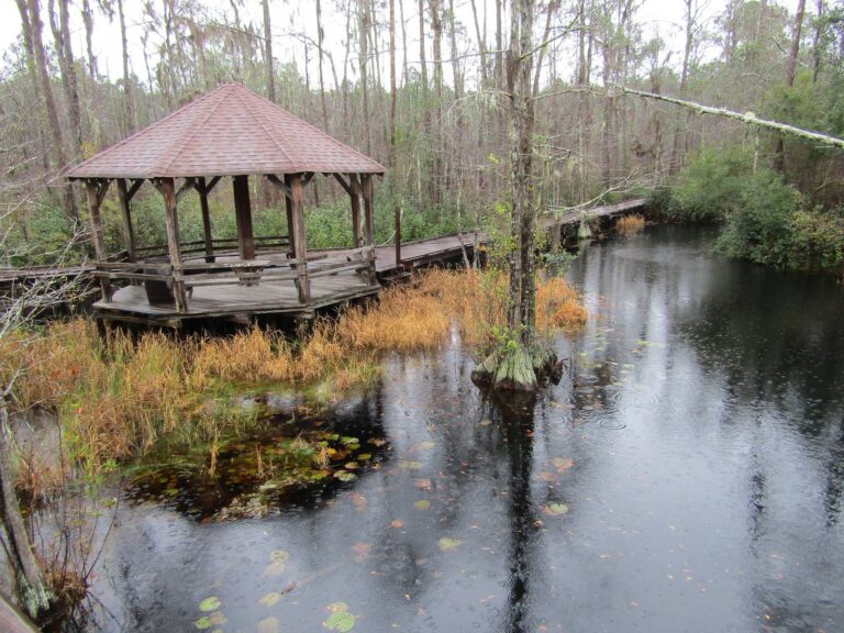 Boardwalk and cypress pond on the northern edge of the Okefenokee near Waycross