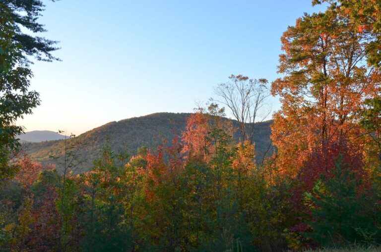 Early morning autumn color over the Raven Cliffs Wilderness seen from Dukes Creek