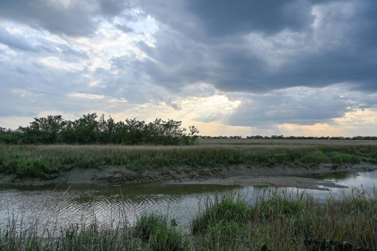 Tidal creek through salt marsh under an evening sky on Sapelo Island