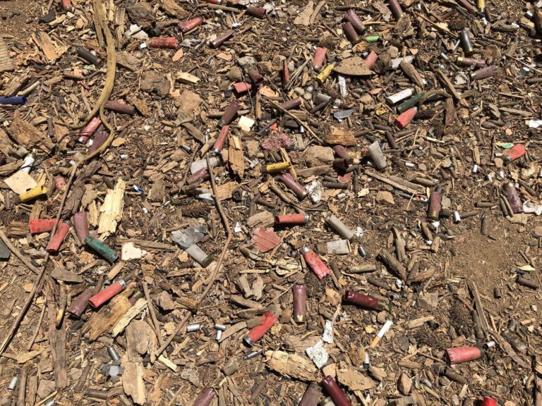 Spent shotgun hulls scattered on the ground at a shooting area