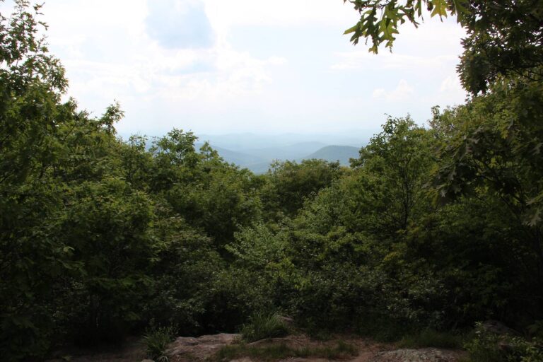 Summer view over forested ridges from near Springer Mountain in the Blue Ridge WMA
