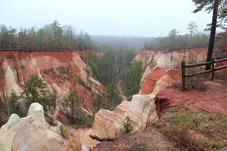 Red and white walls of Providence Canyon below the pine forest in Stewart County
