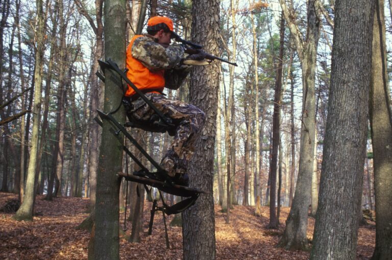 Hunter in a blaze orange vest sitting in a climbing tree stand in hardwoods