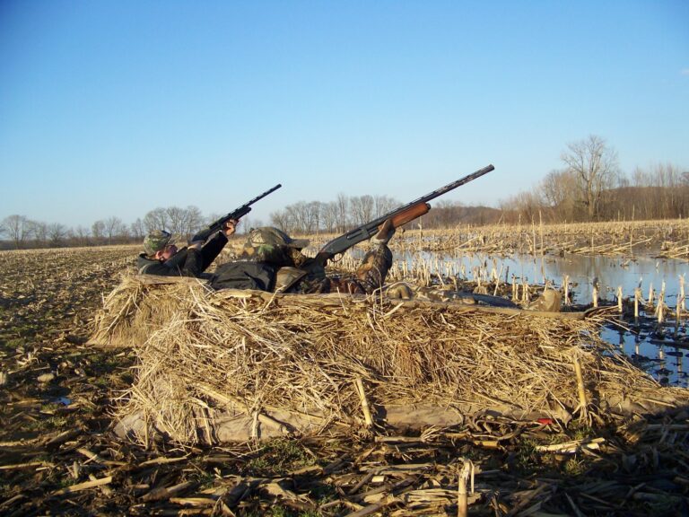 Waterfowl hunters in a field blind at Clarks River National Wildlife Refuge