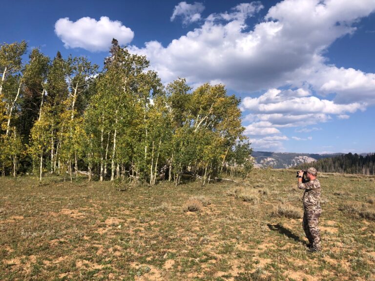 Hunter scouting with binoculars near a stand of trees