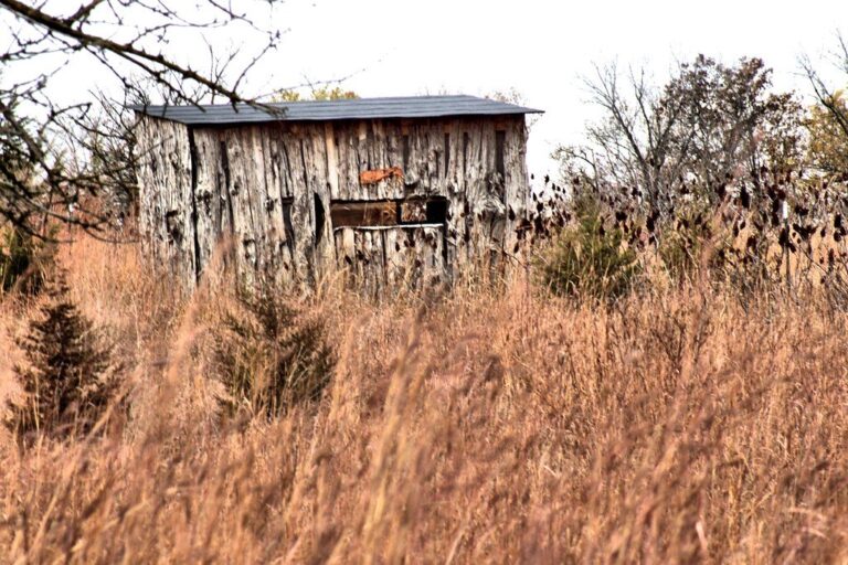Hunting blind at the edge of a farm field