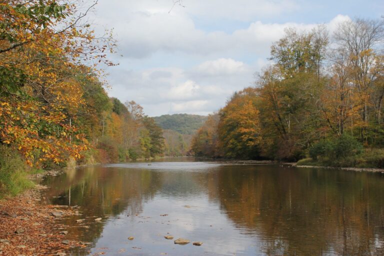 Tionesta Creek flowing between autumn-colored banks in Allegheny National Forest