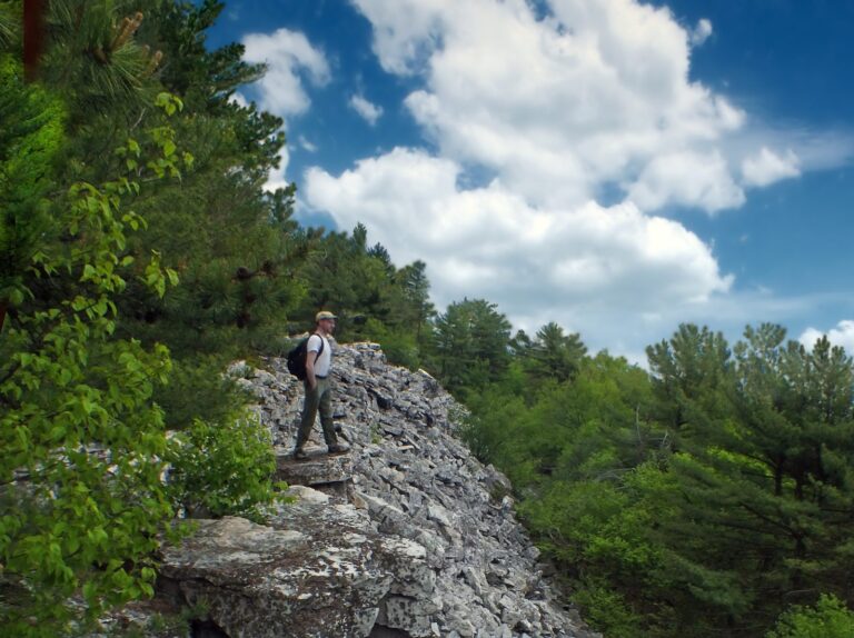 Tuscarora quartzite outcrop on the summit of Mount Logan, Bald Eagle State Forest