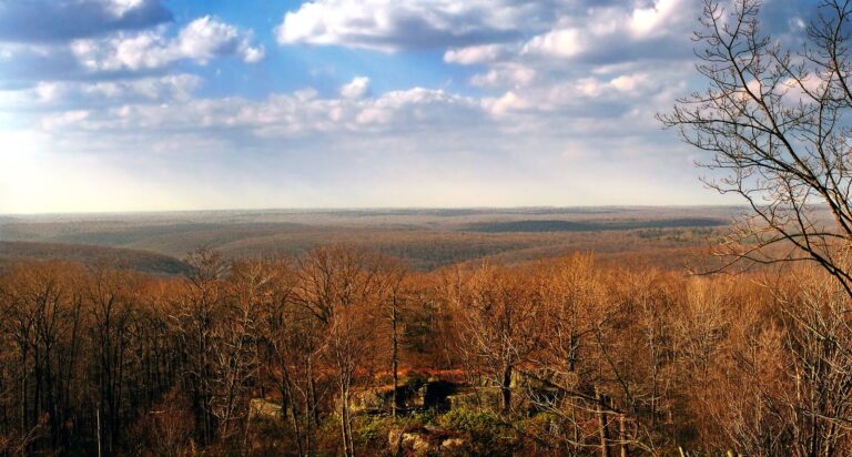 Late autumn plateau view from Beartown Rocks in Clear Creek State Forest