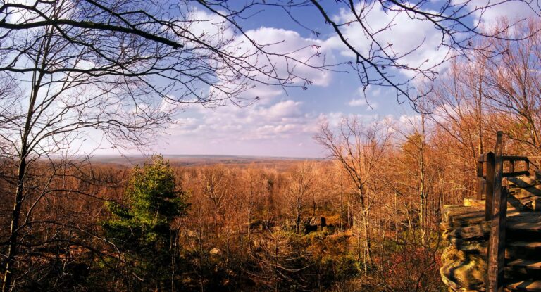 Autumn view north from Beartown Rocks in Clear Creek State Forest, Jefferson County