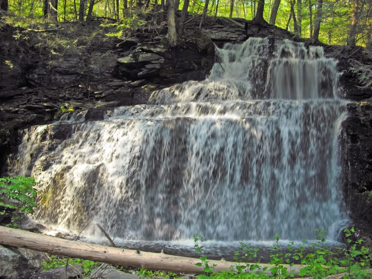 Savantine Falls in Delaware State Forest, Pike County