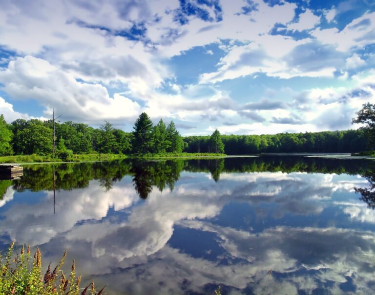 Clouds reflected in remote Stairway Lake in the Stairway Wild Area of Delaware State Forest