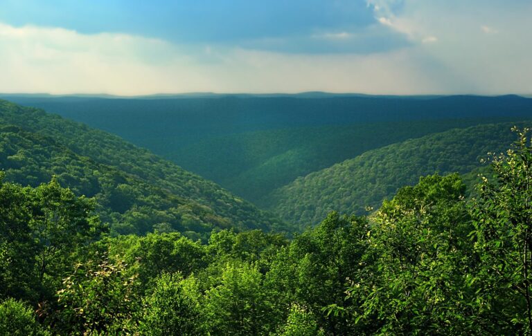 Hazy layered ridges seen from Whitehead Vista on Ridge Road, Elk State Forest
