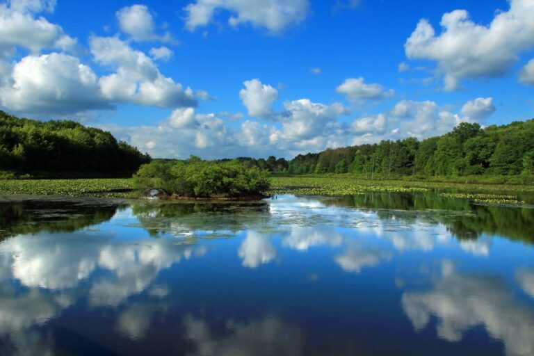 Summer clouds reflected in a wetland pool at Erie National Wildlife Refuge, Sugar Lake Division