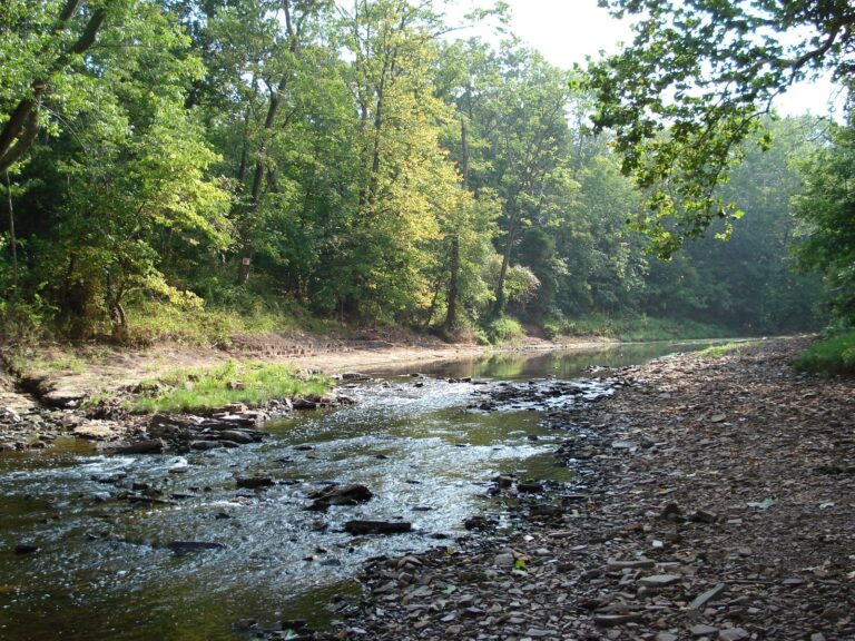 Skippack Creek riffling past a gravel bar in Evansburg State Park, Montgomery County