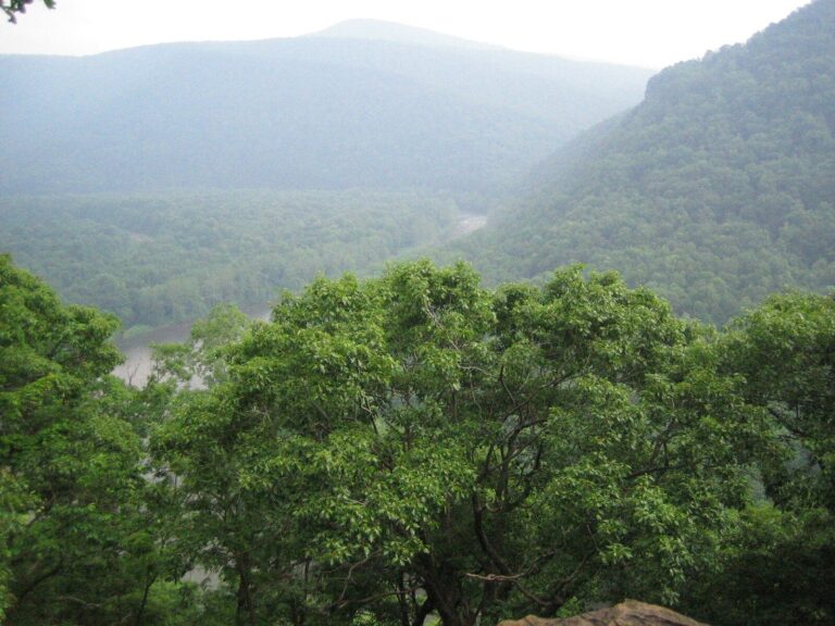 Youghiogheny River gorge in early summer from the Laurel Highlands Hiking Trail near Ohiopyle, Fayette County