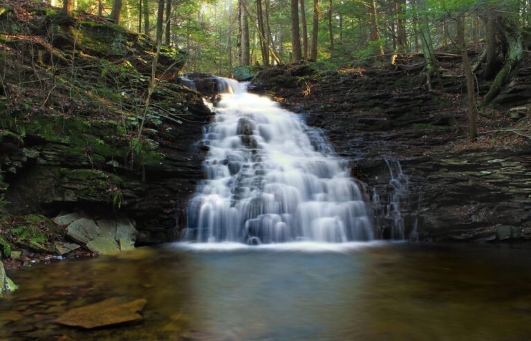 Waterfall and plunge pool on West Branch Ketchum Run, Loyalsock State Forest, Sullivan County