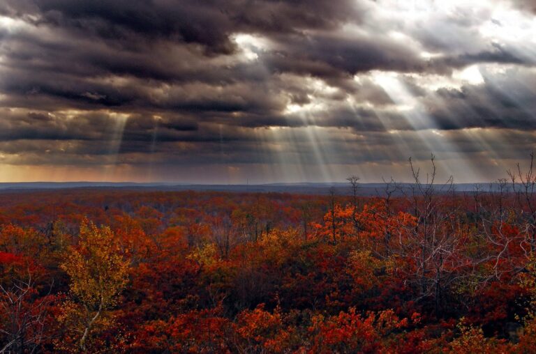 Sunbeams over red autumn scrub from Pine Hill in Pinchot State Forest