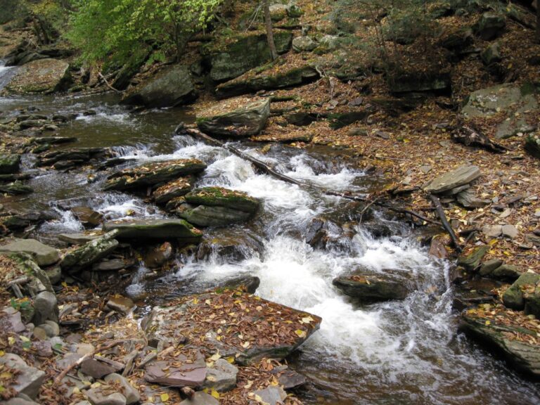 Kitchen Creek cascading over stepped shale in autumn, Ricketts Glen State Park