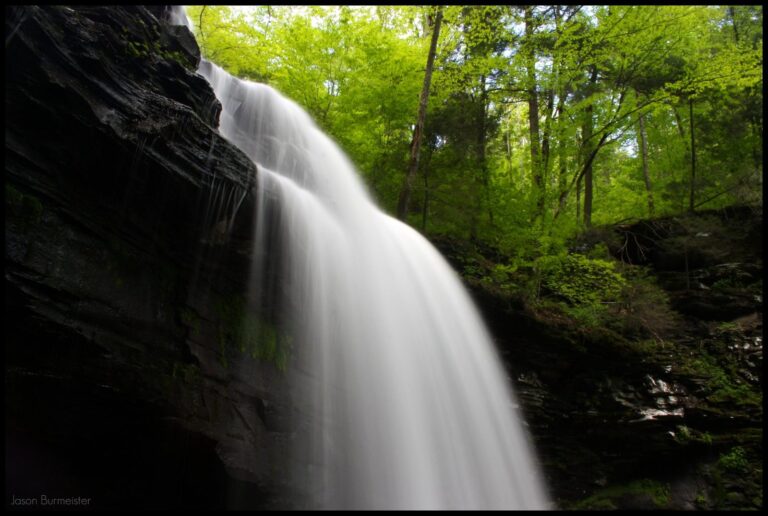 Waterfall plunging over a dark ledge into a fern-lined glen at Ricketts Glen State Park