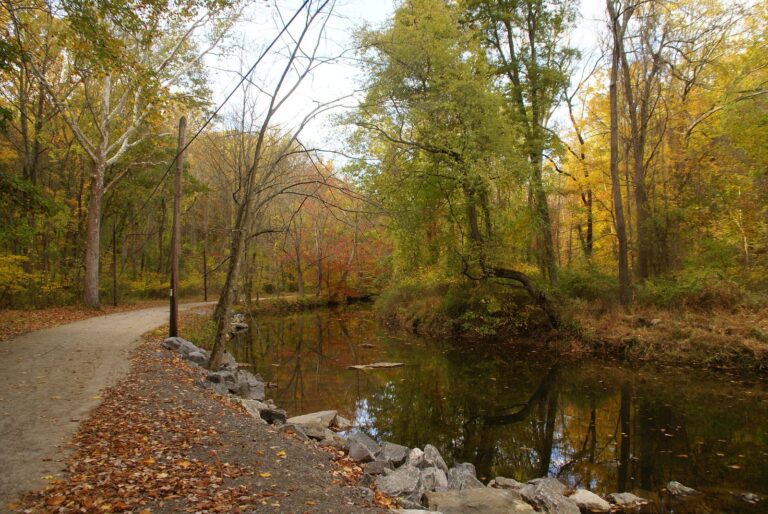 Ridley Creek beside a trail in autumn color, Ridley Creek State Park, Delaware County